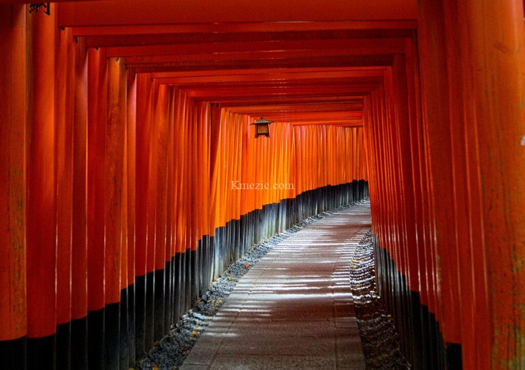 kyoto, japan, torii gate